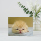 Carte Postale je suis un bébé si endormi ! (Debout devant)