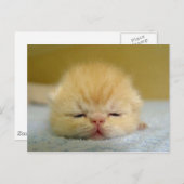 Carte Postale je suis un bébé si endormi ! (Devant / Derrière)