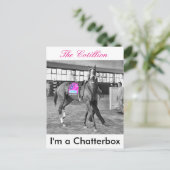 Carte Postale Je suis un Chatterbox (Debout devant)