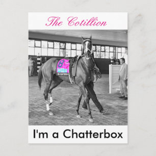 Carte Postale Je suis un Chatterbox