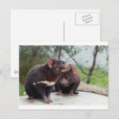 Carte Postale Je suis un petit diable (Devant / Derrière)