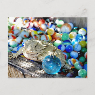 Carte Postale Je Suis Un Tireur Droit — "Le Temps Du Marbre"