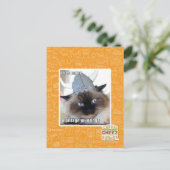 Carte Postale Je suis venu piller notre village (Debout devant)