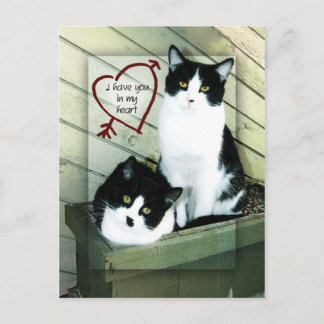 Carte Postale Je t'ai dans mon coeur