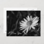 Carte Postale Je T'Aime (Devant / Derrière)