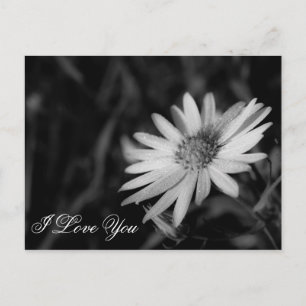 Carte Postale Je T'Aime