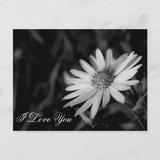 Carte Postale Je T'Aime (Devant)