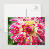 Carte Postale Je T'Aime (Devant / Derrière)