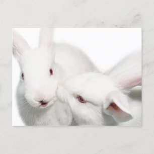 Carte Postale Je t'aime