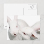 Carte Postale Je t'aime (Devant / Derrière)