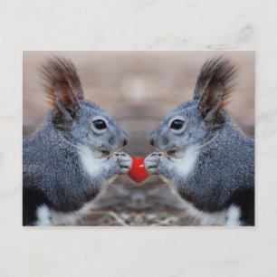 Carte Postale Je t'aime aussi