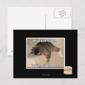 Carte Postale Je t'aime, canapé. (Devant / Derrière)