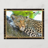 Carte Postale Je t'aime Leopard Photo (Devant)