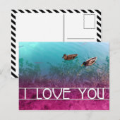 Carte Postale je t'aime : paire de canards (Devant / Derrière)