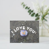 Carte Postale Je t'aime Peint Rock (Debout devant)