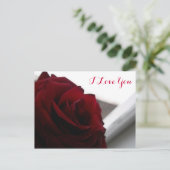 Carte Postale Je T'Aime (Rose Rouge) (Debout devant)
