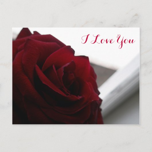 Carte Postale Je T'Aime (Rose Rouge) (Devant)