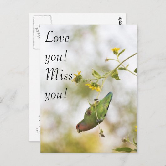 Carte Postale Je t'aime, tu manques lovebird (Devant / Derrière)