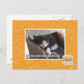 Carte Postale Je te serrerais plus gros. (Devant / Derrière)