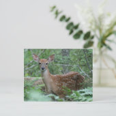 Carte Postale Je Te Vois (Debout devant)