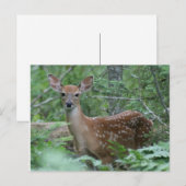 Carte Postale Je Te Vois (Devant / Derrière)