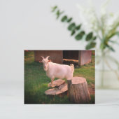 Carte Postale Je Vais Ça (Debout devant)