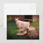 Carte Postale Je Vais Ça (Devant / Derrière)