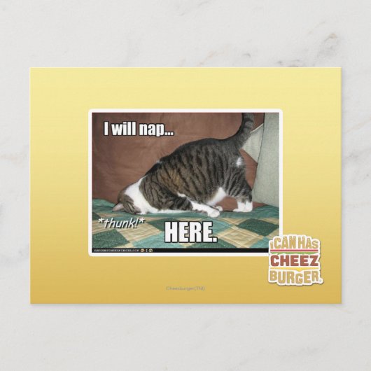 Carte Postale Je vais faire la sieste ici (Devant)