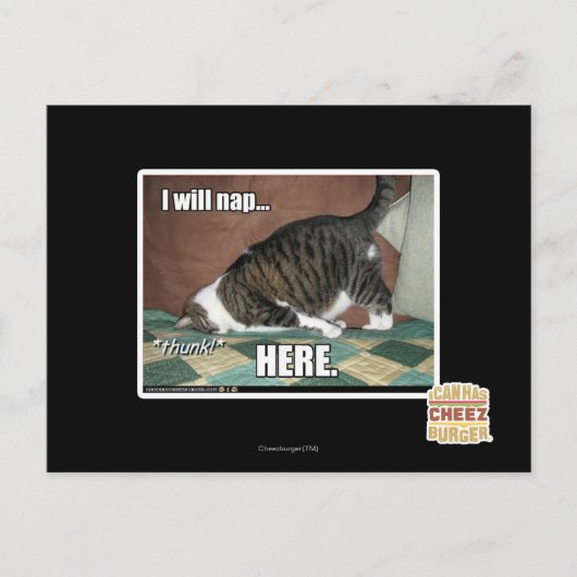 Carte Postale Je vais faire la sieste ici (Devant)