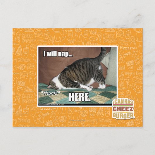 Carte Postale Je vais faire la sieste ici (Devant)