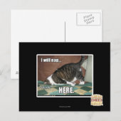 Carte Postale Je vais faire la sieste ici (Devant / Derrière)