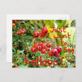 Carte Postale Je veux juste dire Hellooo ! (Devant / Derrière)