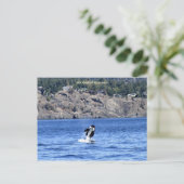 Carte Postale Je Viens De Presser Pour Dire Bonjour ! (Debout devant)