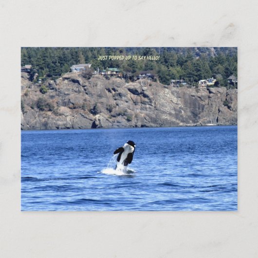 Carte Postale Je Viens De Presser Pour Dire Bonjour ! (Devant)