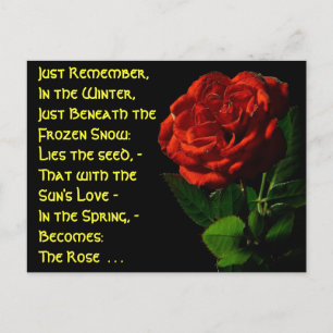 Carte Postale Je viens en Rose...