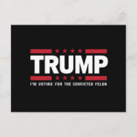 Je Vote Pour Le Féon Condamné Pro Trump 2024