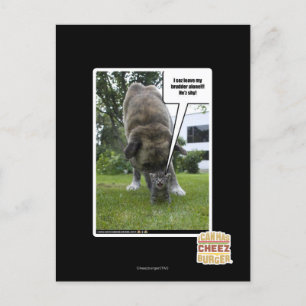 Carte Postale Je vous demande de laisser mon meurtrier seul