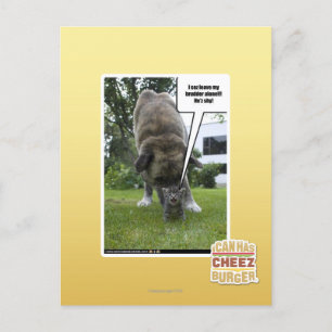 Carte Postale Je vous demande de laisser mon meurtrier seul