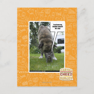 Carte Postale Je vous demande de laisser mon meurtrier seul