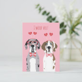 Carte Postale Je Vous Malheur Les Grands Chiens Danois Rouge Ros (Debout devant)