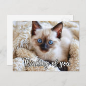 Carte Postale Je Vous Manque - Chat Siamese Mignonne (Devant / Derrière)