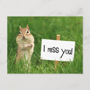Carte Postale Je vous manque Chipmunk avec signe