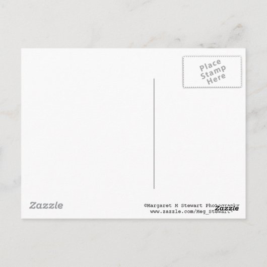 Carte Postale Je Vous Manque Fortune Cookie (Dos)