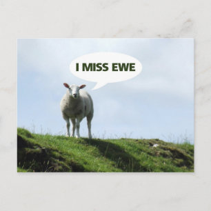 Carte Postale Je vous manque Funny Sheep Brebis
