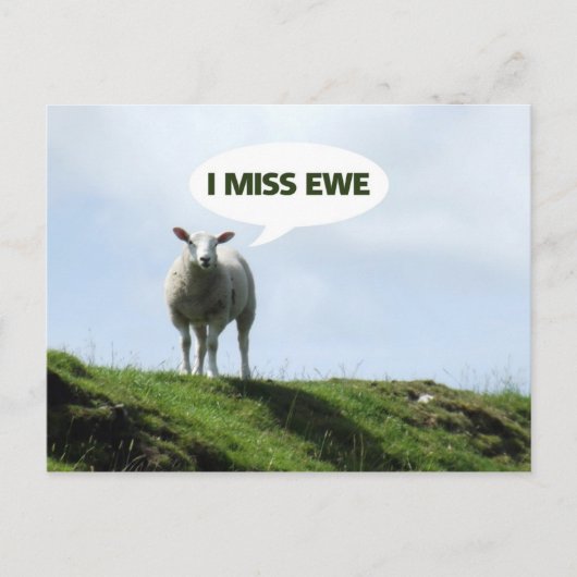 Carte Postale Je vous manque Funny Sheep Brebis (Devant)