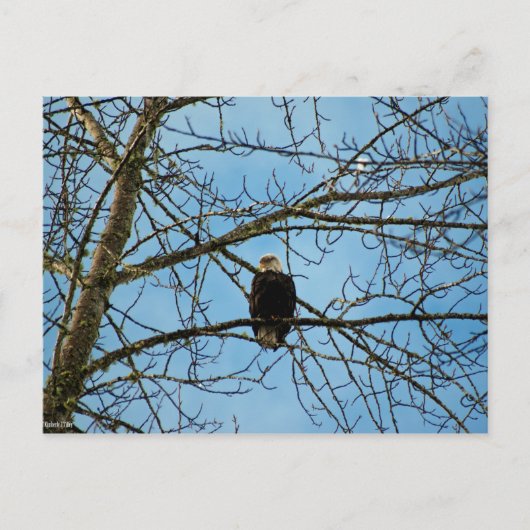 Carte Postale Je vous regarde (Devant)