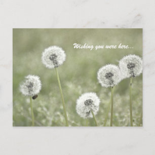 Carte Postale Je vous souhaite d'être ici...