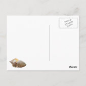 Carte Postale Je vous souhaite ici, plage (Dos)