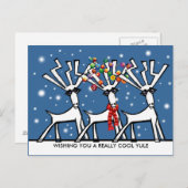 Carte Postale Je vous souhaite une Yule vraiment cool (Devant / Derrière)