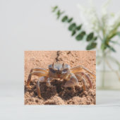 Carte Postale Je vous vois - crabe à la plage près (Debout devant)